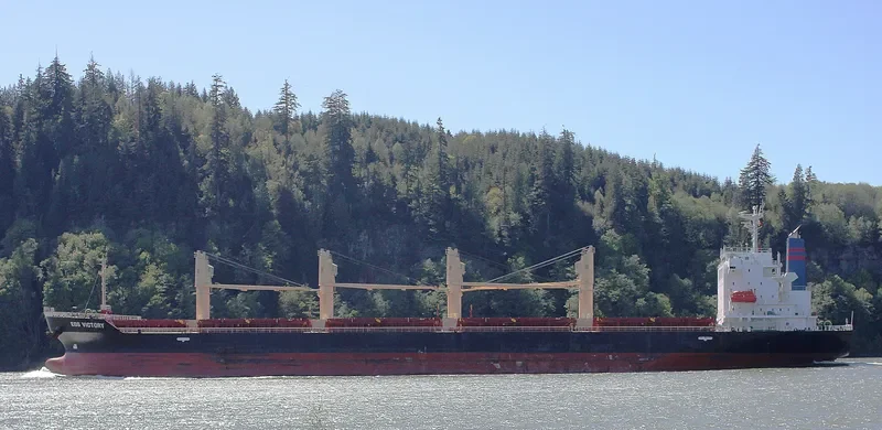 TRAWIND ROC Bulk Carrier IMO 9609299 photo 5