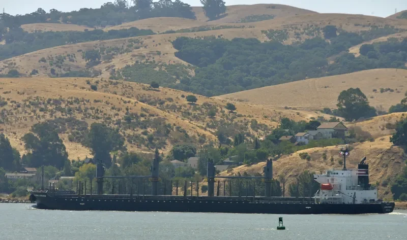 GLOBAL STRIKER Bulk Carrier IMO 9609330 photo 7