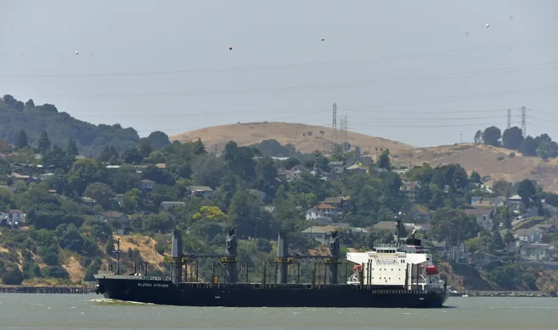 GLOBAL STRIKER Bulk Carrier IMO 9609330 photo 8
