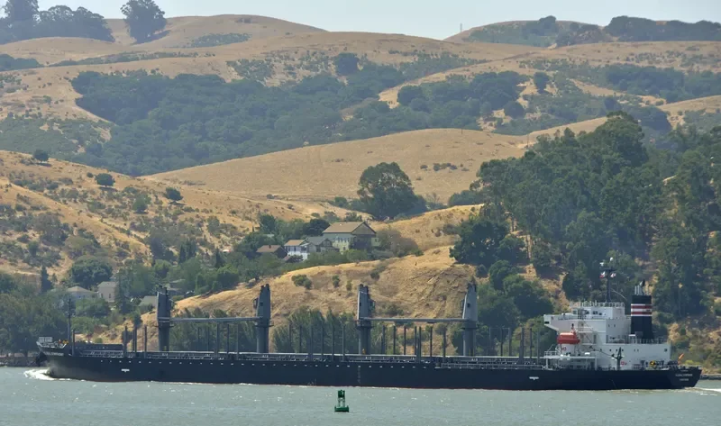 GLOBAL SYMPHONY Bulk Carrier IMO 9609342