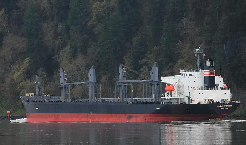 GLOBAL SYMPHONY Bulk Carrier IMO 9609342 photo 3