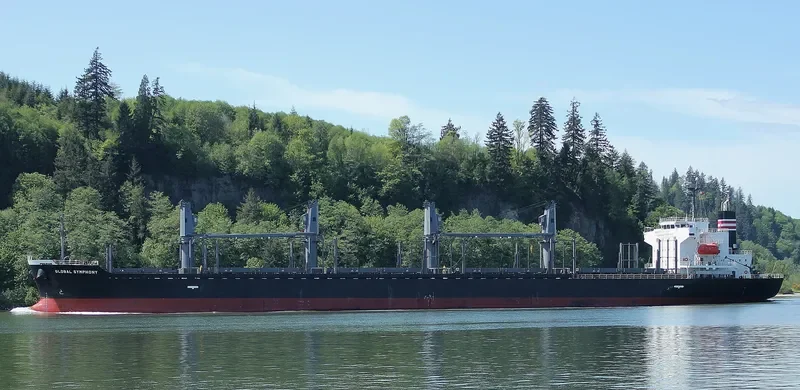 GLOBAL SYMPHONY Bulk Carrier IMO 9609342 photo 10