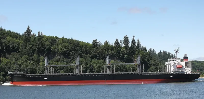 GLOBAL HERO Bulk Carrier IMO 9609354 photo 2