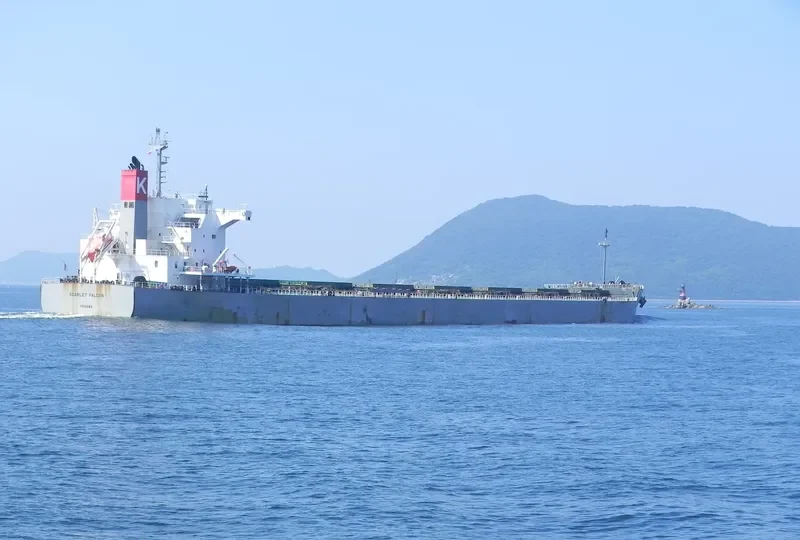 SCARLET FALCON Bulk Carrier IMO 9609433