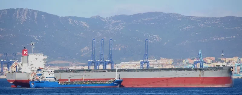 SCARLET FALCON Bulk Carrier IMO 9609433 photo 2