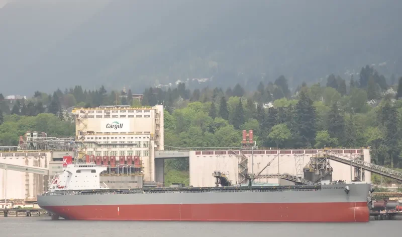 SCARLET FALCON Bulk Carrier IMO 9609433 photo 4