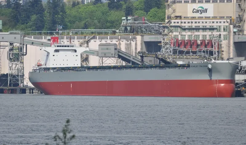 SCARLET FALCON Bulk Carrier IMO 9609433 photo 5