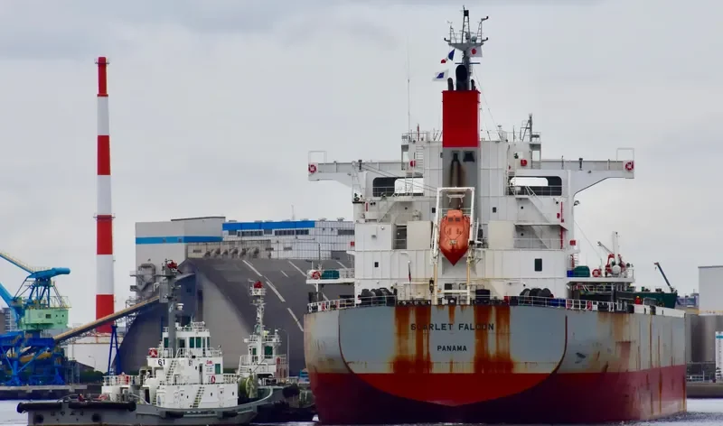 SCARLET FALCON Bulk Carrier IMO 9609433 photo 6