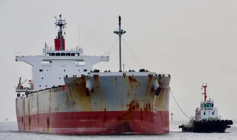 SCARLET FALCON Bulk Carrier IMO 9609433 photo 8