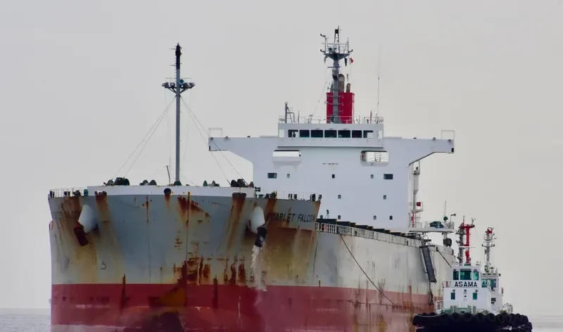 SCARLET FALCON Bulk Carrier IMO 9609433 photo 9