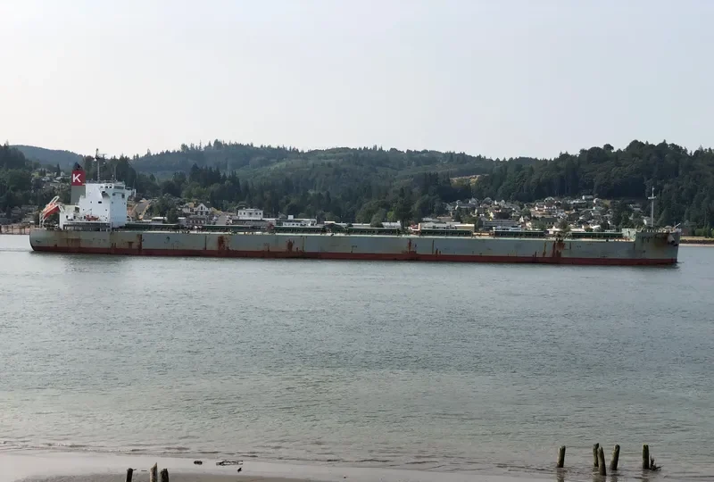 SCARLET FALCON Bulk Carrier IMO 9609433 photo 10