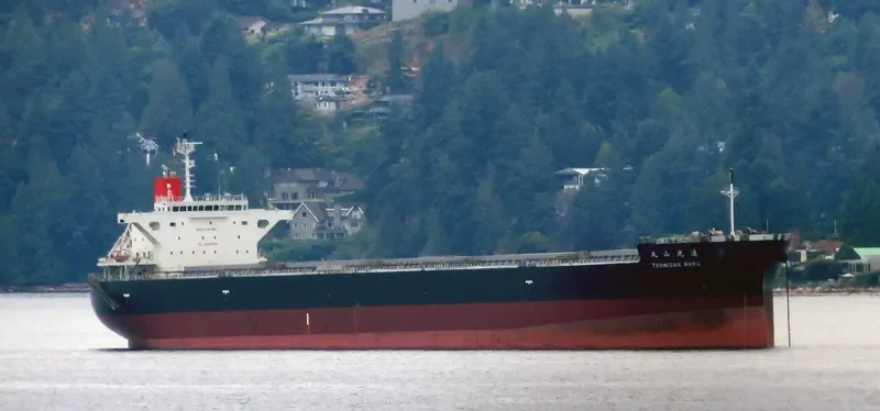 TOHMISAN MARU Bulk Carrier IMO 9609471 photo 4