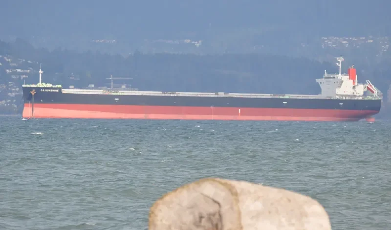 TOHMISAN MARU Bulk Carrier IMO 9609471 photo 10