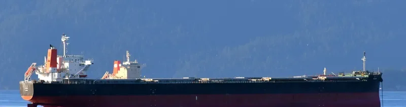 MINAMI Bulk Carrier IMO 9609483 photo 5