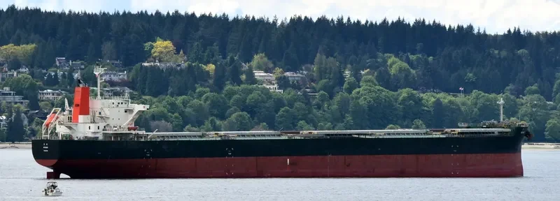 MINAMI Bulk Carrier IMO 9609483 photo 6