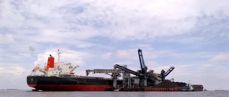 MINAMI Bulk Carrier IMO 9609483 photo 7