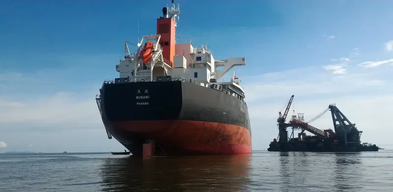 MINAMI Bulk Carrier IMO 9609483 photo 9