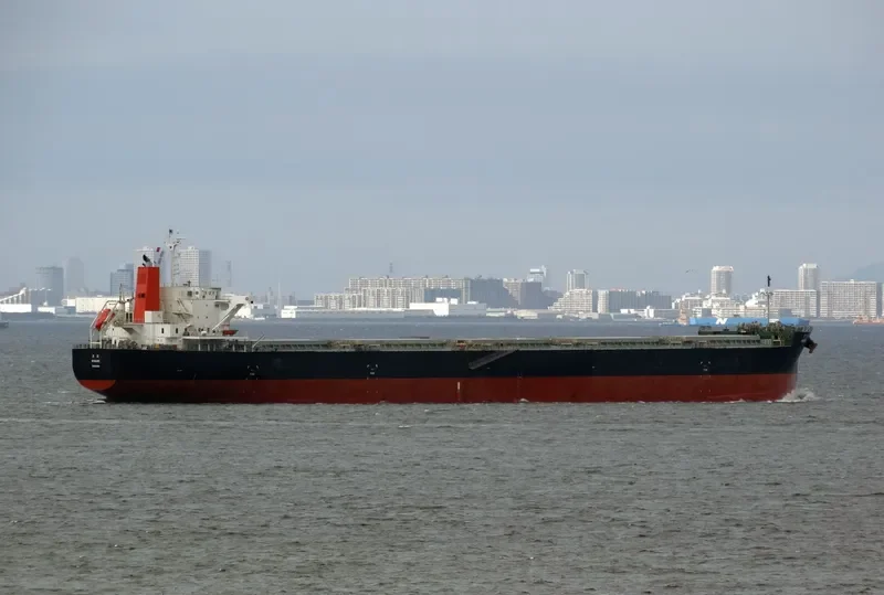 MINAMI Bulk Carrier IMO 9609483 photo 10