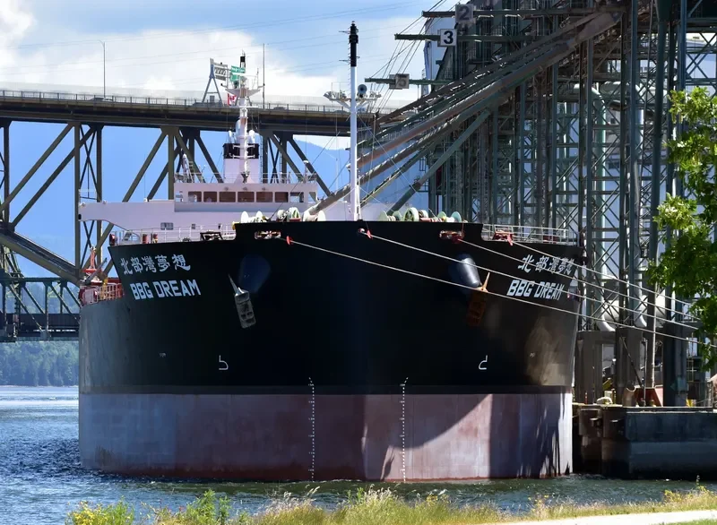 BBG DREAM Bulk Carrier IMO 9609500 photo 7