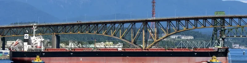 BBG DREAM Bulk Carrier IMO 9609500 photo 8