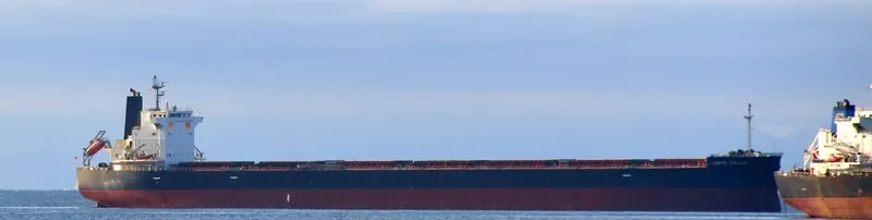 SANTA EMILIA Bulk Carrier IMO 9609524 photo 4