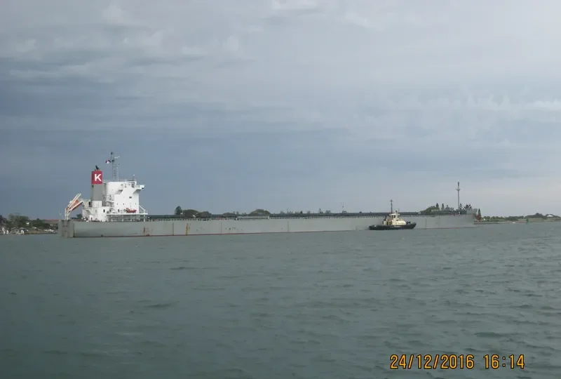 SCARLET ROSELLA Bulk Carrier IMO 9609627 photo 2