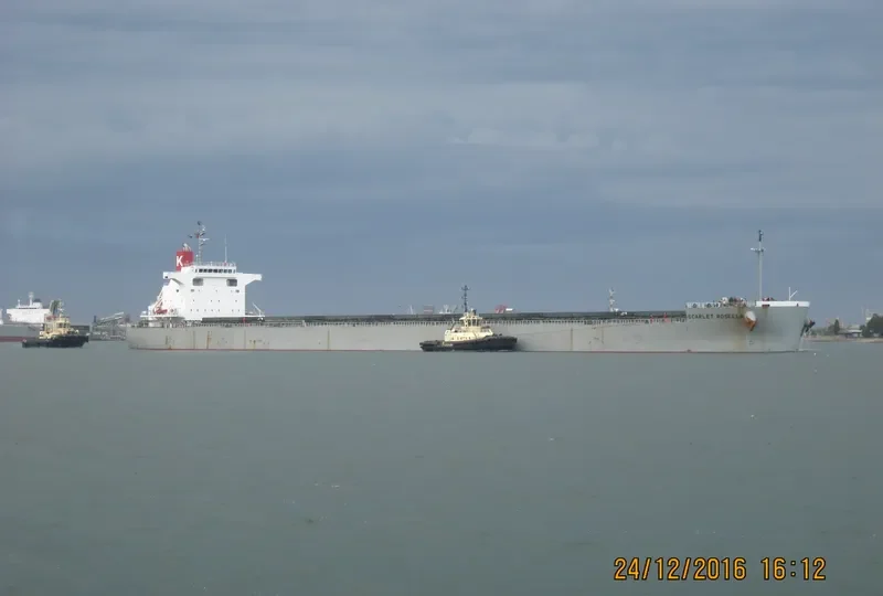 SCARLET ROSELLA Bulk Carrier IMO 9609627 photo 3