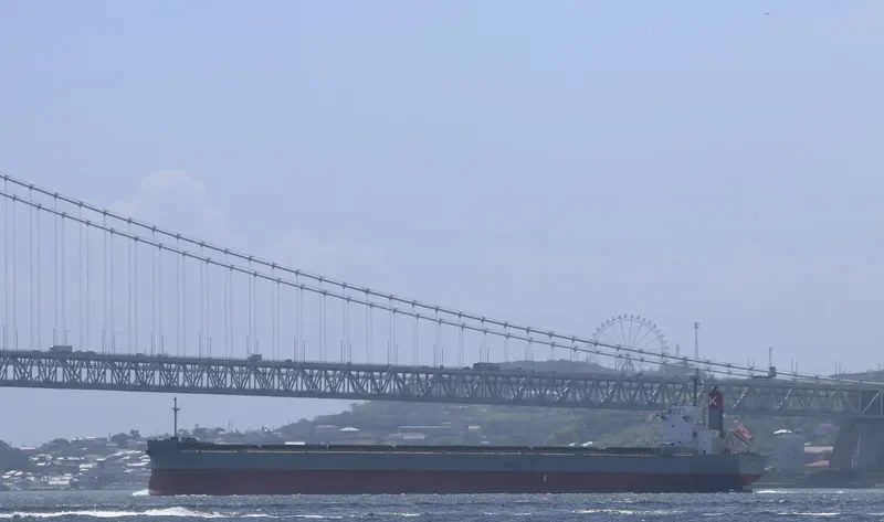 SCARLET ROSELLA Bulk Carrier IMO 9609627 photo 6