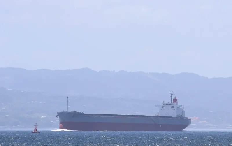SCARLET ROSELLA Bulk Carrier IMO 9609627 photo 7