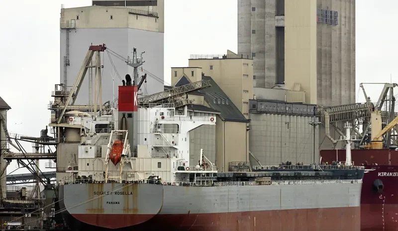 SCARLET ROSELLA Bulk Carrier IMO 9609627 photo 8