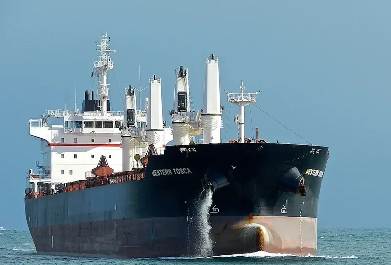 LIVERPOOL STRAIT Bulk Carrier IMO 9609718 photo 25