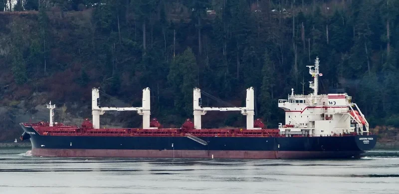 LIVERPOOL STRAIT Bulk Carrier IMO 9609718 photo 30