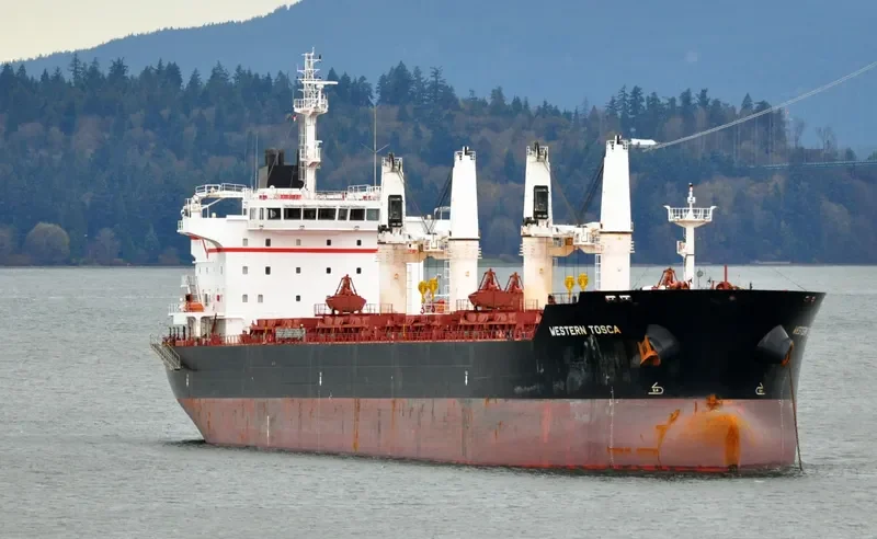 LIVERPOOL STRAIT Bulk Carrier IMO 9609718 photo 31