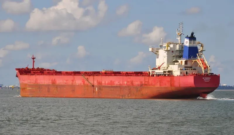 NS ENERGY Bulk Carrier IMO 9609732 photo 2