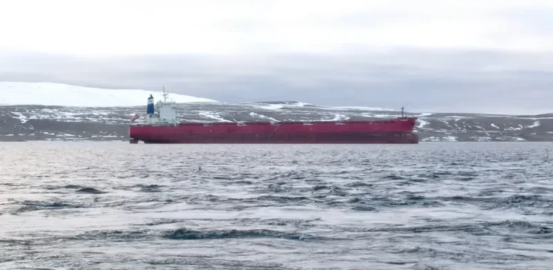 NS ENERGY Bulk Carrier IMO 9609732 photo 8