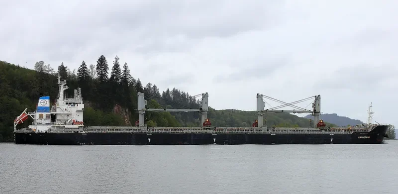 DIVA Bulk Carrier IMO 9609811