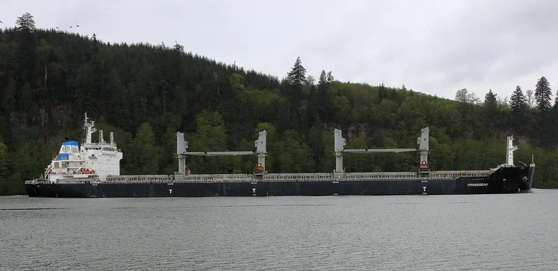DIVA Bulk Carrier IMO 9609811 photo 3