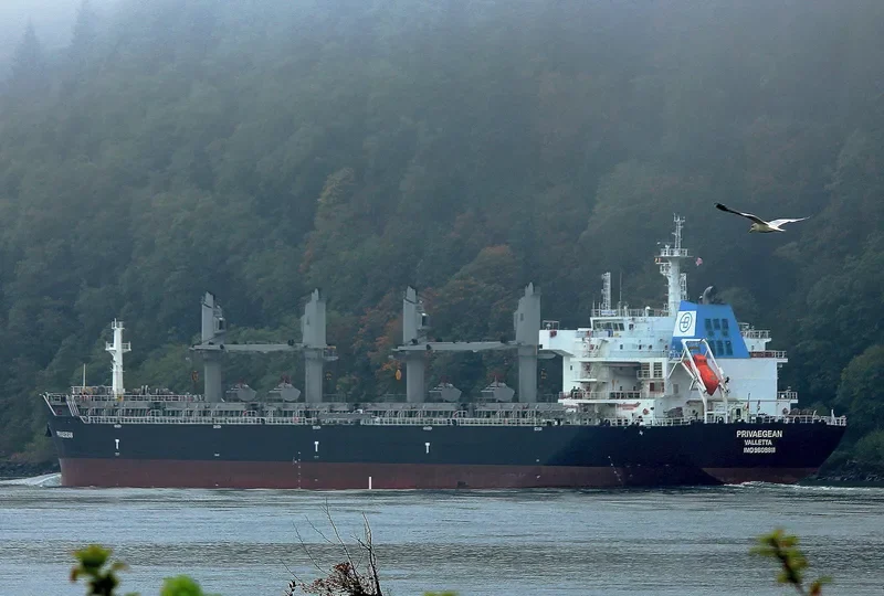 DIVA Bulk Carrier IMO 9609811 photo 5