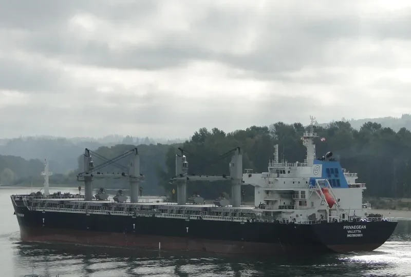 DIVA Bulk Carrier IMO 9609811 photo 8