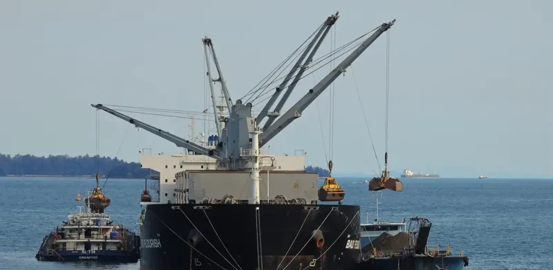 BAO FLOURISH Bulk Carrier IMO 9609835