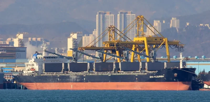 BAO FLOURISH Bulk Carrier IMO 9609835 photo 3