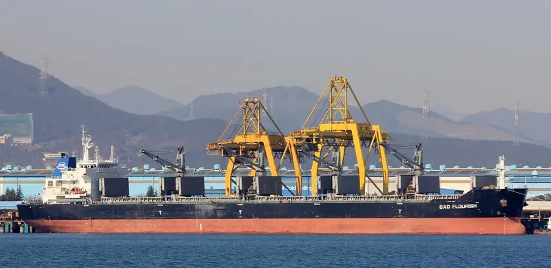 BAO FLOURISH Bulk Carrier IMO 9609835 photo 4