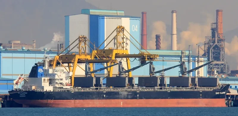 BAO FLOURISH Bulk Carrier IMO 9609835 photo 5