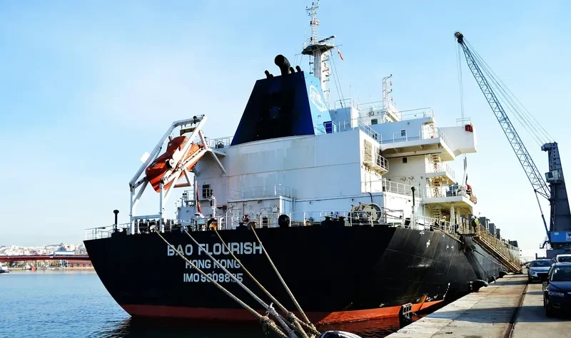 BAO FLOURISH Bulk Carrier IMO 9609835 photo 6