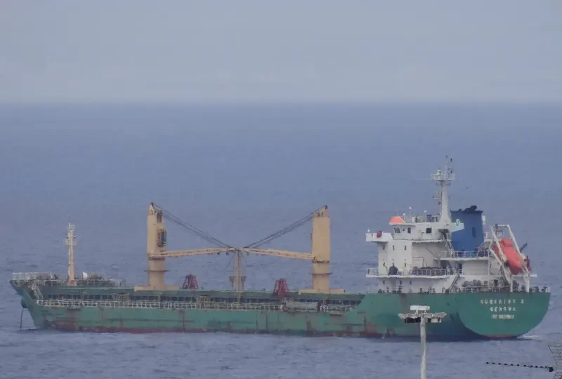 MBC DAISY Bulk Carrier IMO 9609902 photo 8