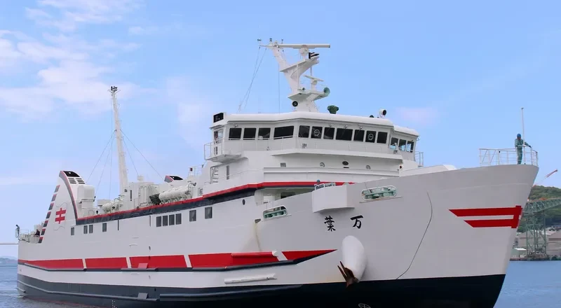 MANYOU Ro-Ro IMO 9610133 photo 2