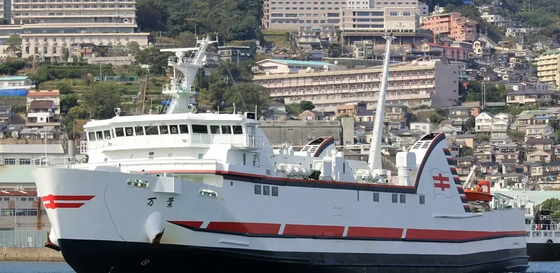 MANYOU Ro-Ro IMO 9610133 photo 5