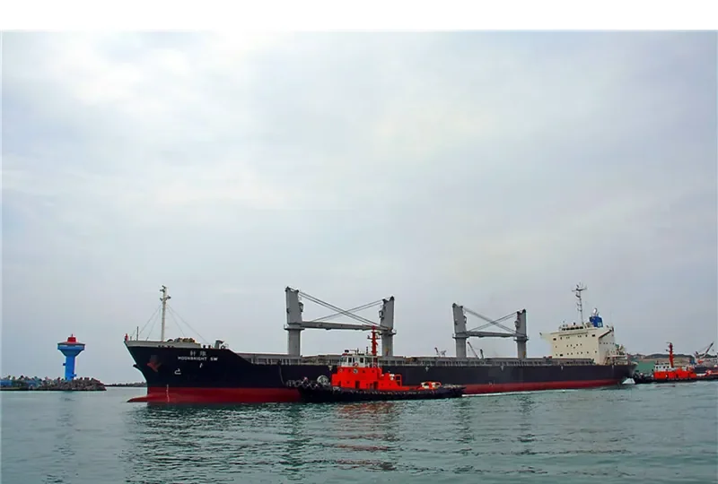 MOONBRIGHT SW Bulk Carrier IMO 9610195 photo 8