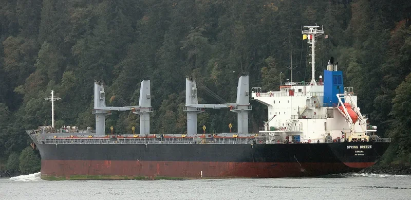 SPRING BREEZE Bulk Carrier IMO 9610200 photo 3