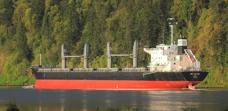 NEW HISTORY Bulk Carrier IMO 9610248 photo 2